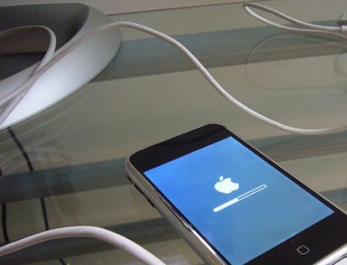 WRONGFUL TERMINATION LAWSUIT DUE TO CHARGING CELL PHONE AT WORK